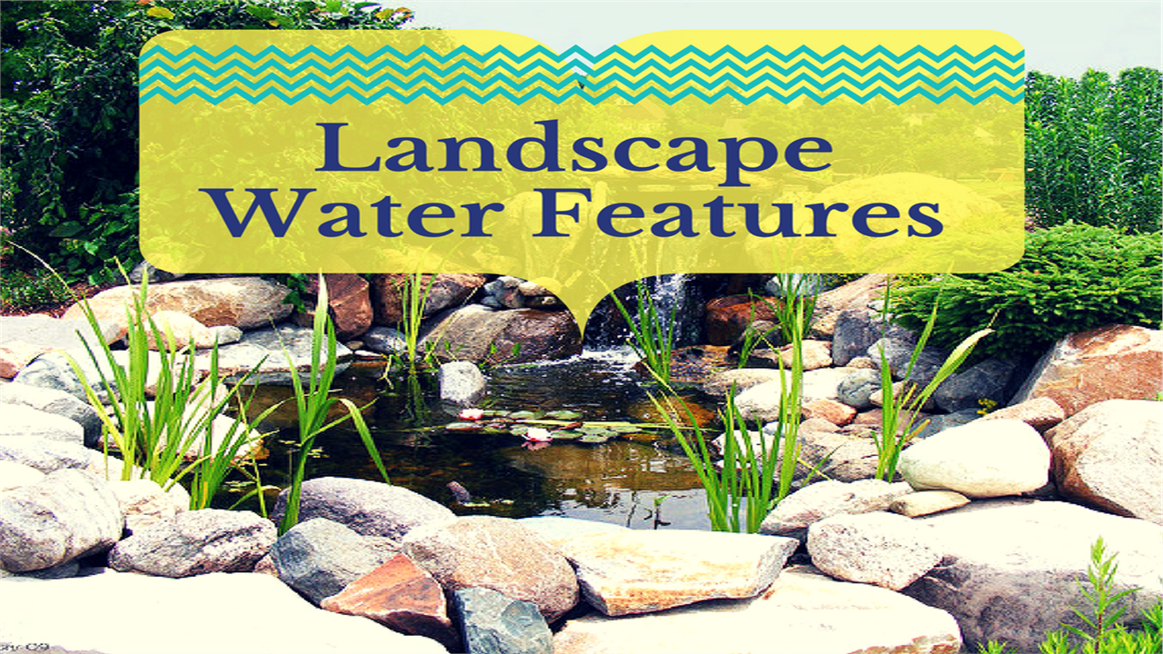 Photo of garden pond illustrating article on landscape water features