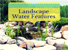 Photo of garden pond illustrating article on landscape water features